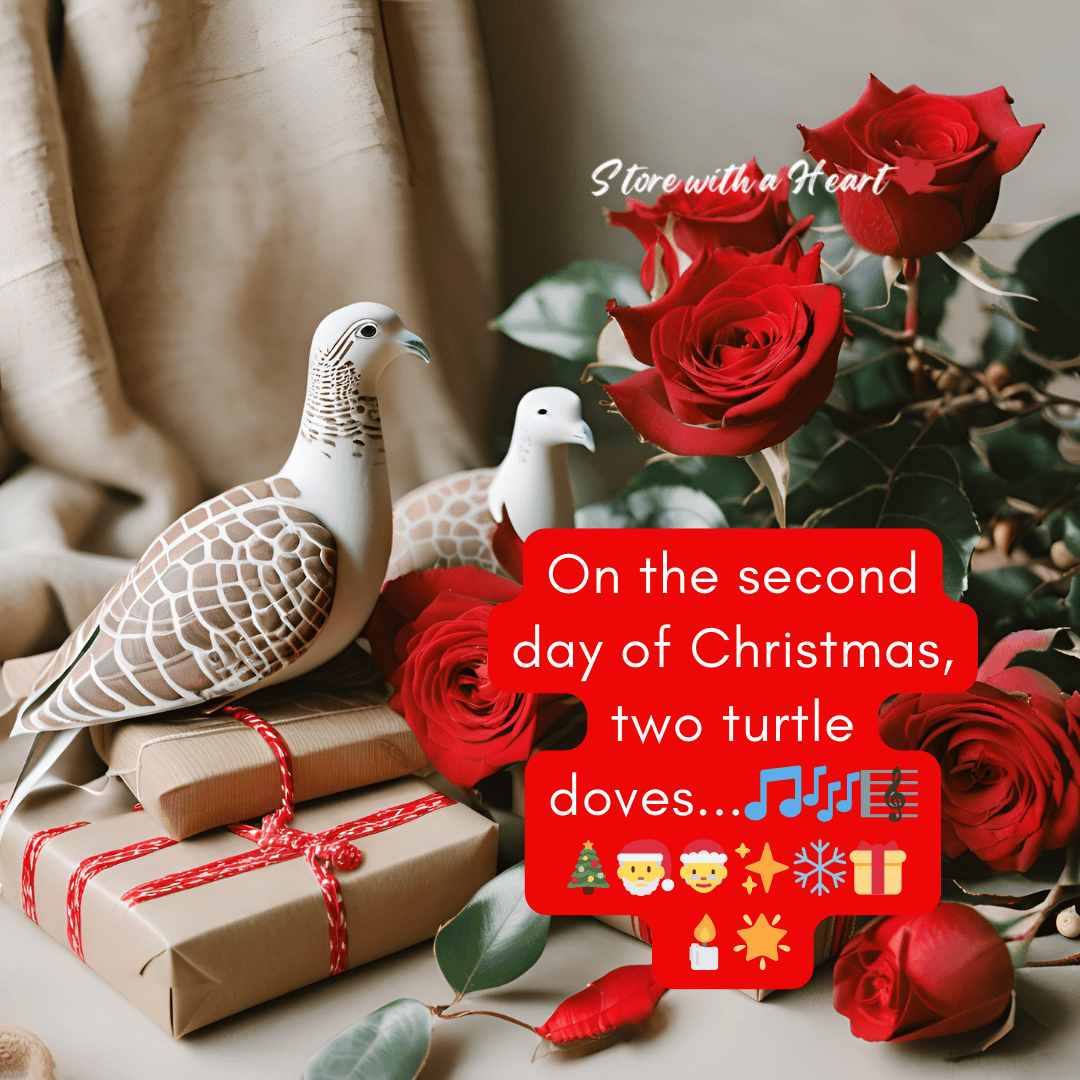 Christmas Day 2: Two Warm Gestures for Peace&nbsp;🕊️🕊️