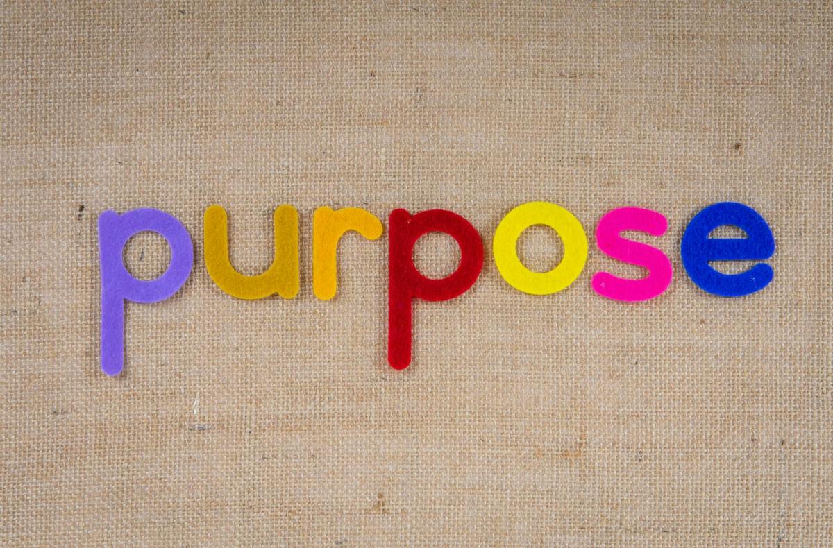 6 Essential Tips for Starting a Purpose-Driven&nbsp;Business