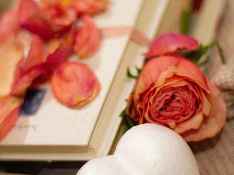 Difference Makers: Books That Have Inspired Meaningful Social&nbsp;Change