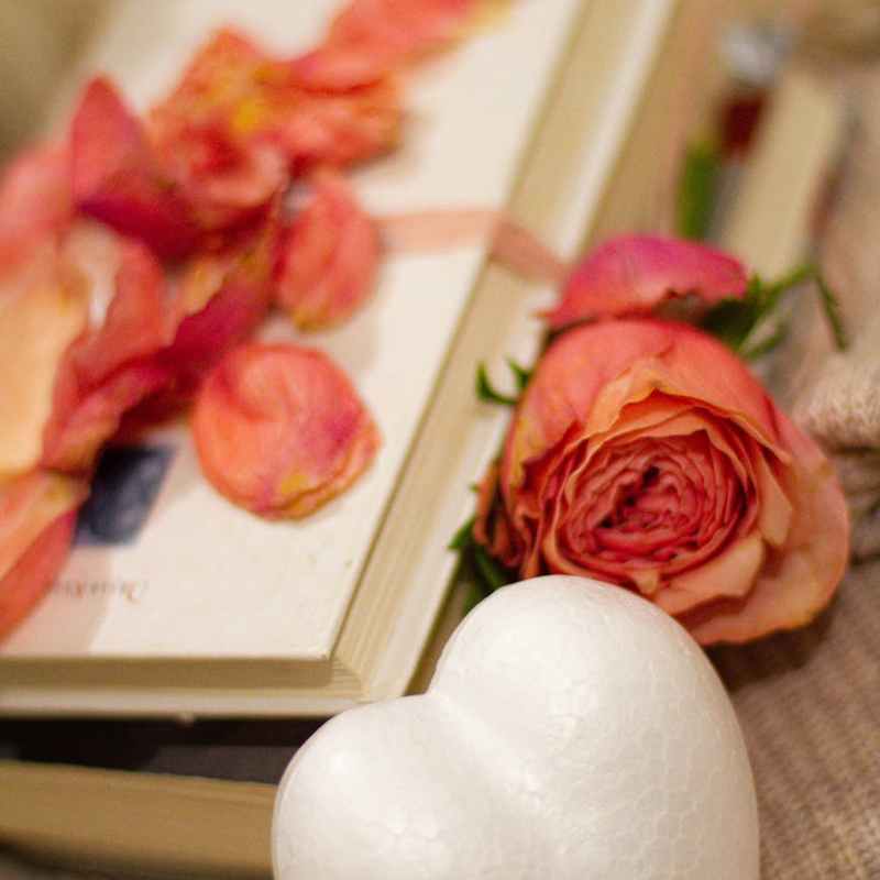 Difference Makers: Books That Have Inspired Meaningful Social&nbsp;Change