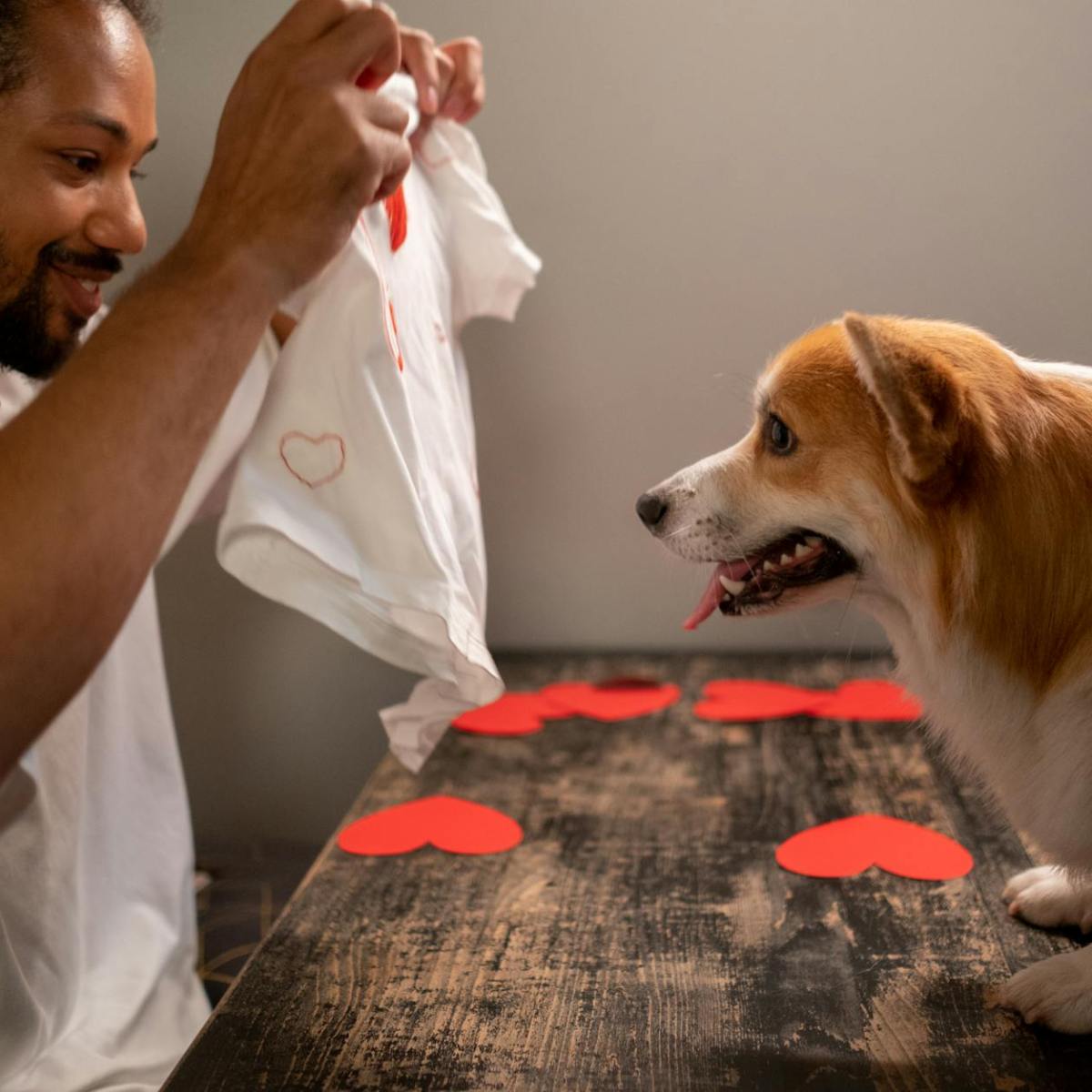 Purpose-driven Insights: On Animal Welfare&nbsp;Protection