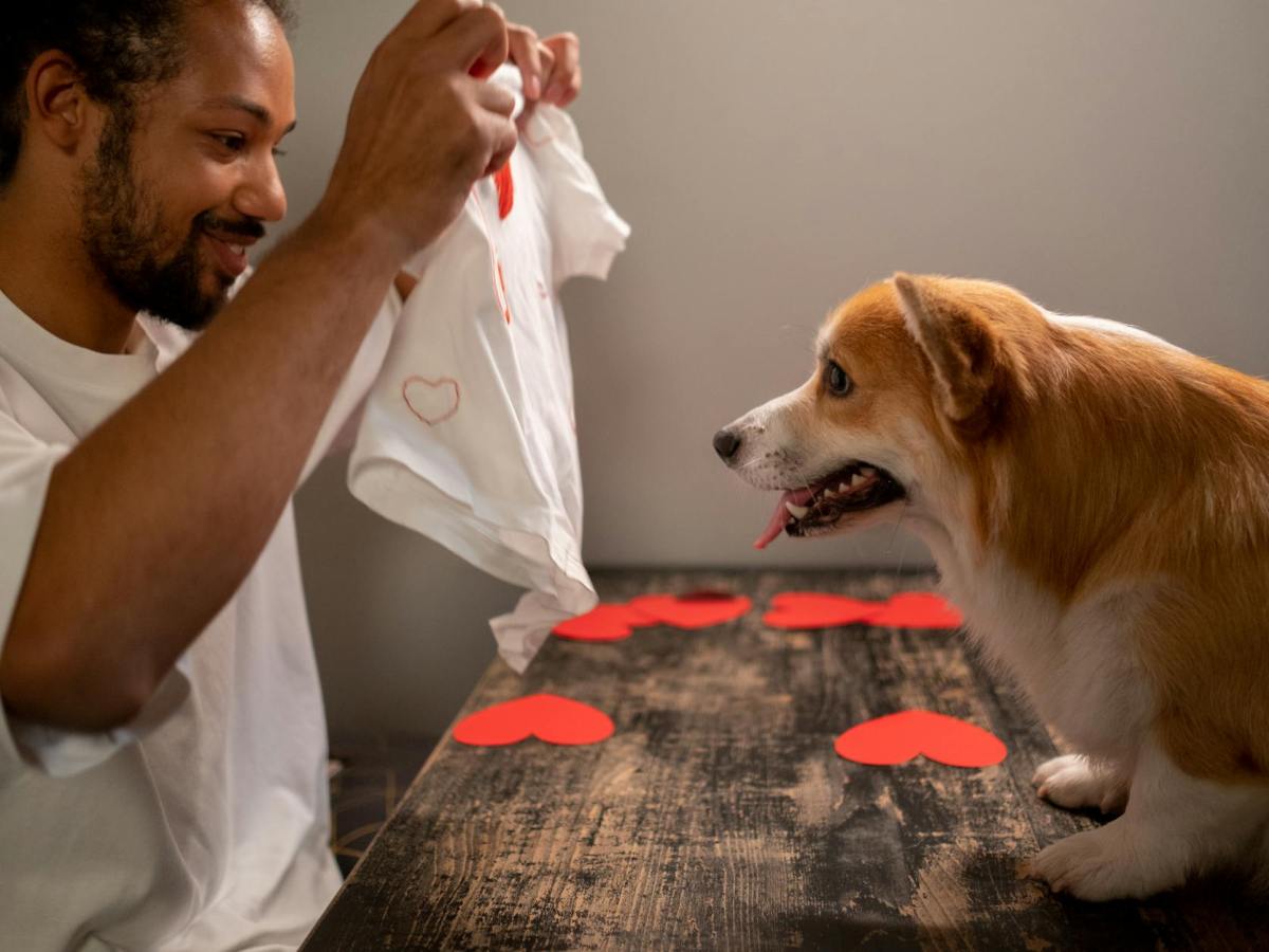 Purpose-driven Insights: On Animal Welfare&nbsp;Protection