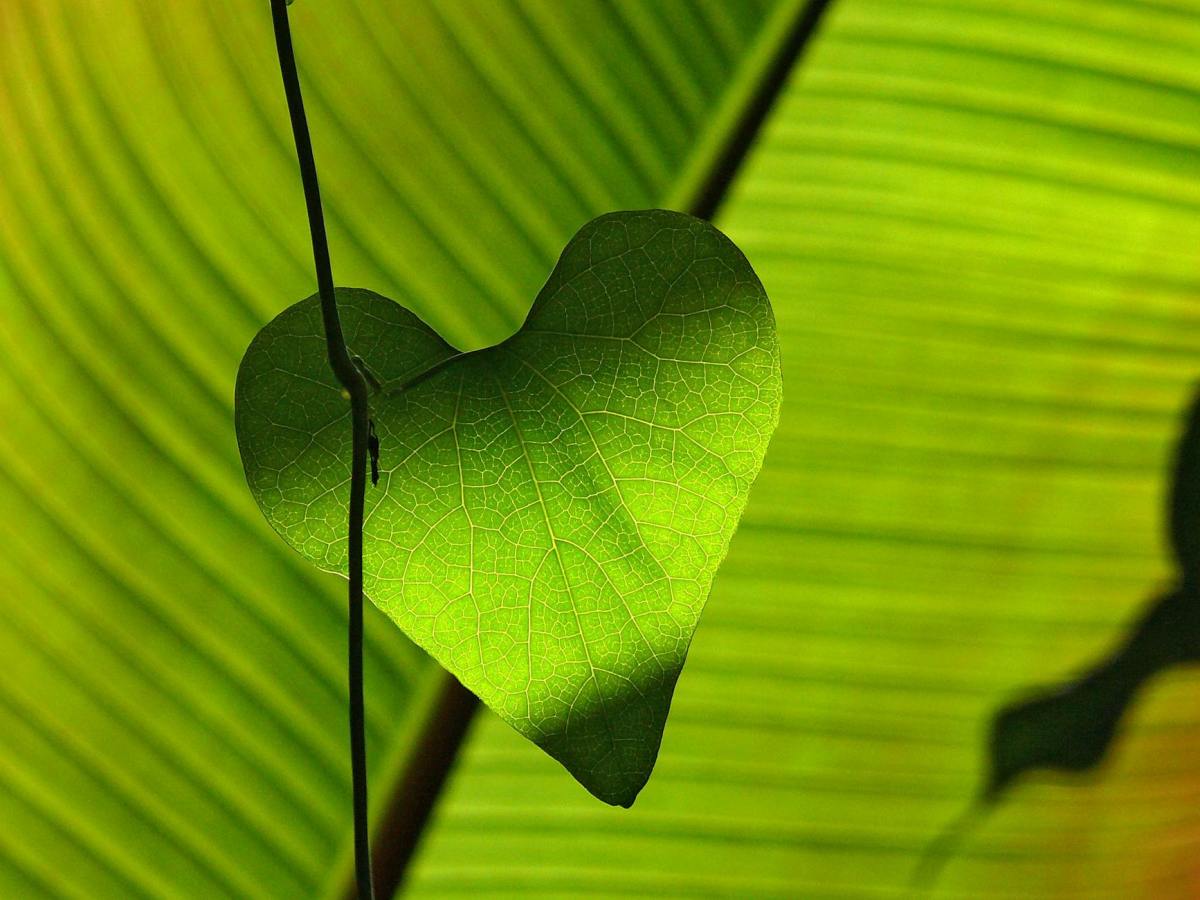 Purpose-driven Insights: Small Business Actions Drive&nbsp;Sustainability